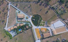 Complejo Rural La Paloma